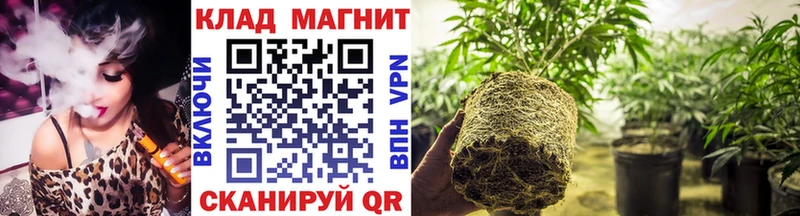 Купить наркотики сайты Гвардейск APVP Бошки Шишки МЕФ ГАШ