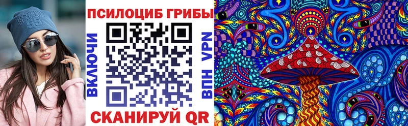 kraken как войти  купить наркотик  Гвардейск  Галлюциногенные грибы Magic Shrooms 